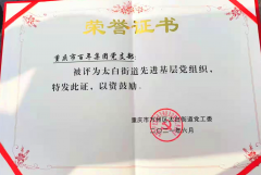 百年集團黨支部回報社會，努力踐行社會責任與