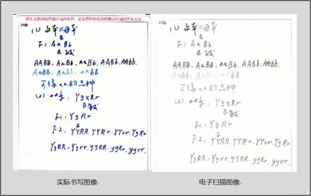 中高考電腦閱卷流程這樣的！讀完可多拿20分（轉(zhuǎn)給考生，這對(duì)他們有用）