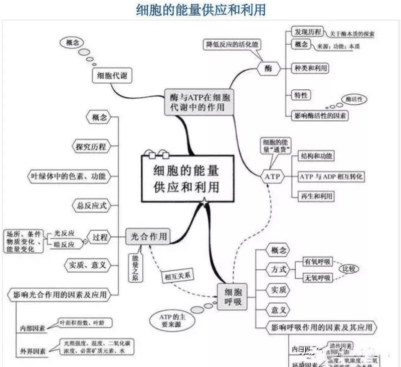 高中生這樣進行課后復(fù)習(xí)比聽課都重要，您孩子做到了嗎？