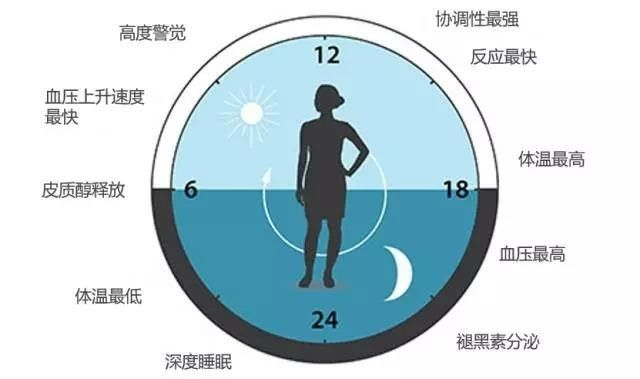 請(qǐng)轉(zhuǎn)給晚睡的學(xué)生：熬夜學(xué)習(xí)精神可嘉，但方法不可??！