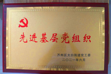 集團黨支部回報社會，努力踐行社會責任與擔當